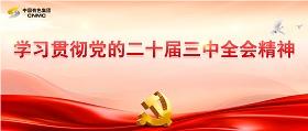 學習貫徹黨的二十屆三中全會精神